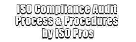 ISO Compliance Audit Process & Procedures by ISO Pros Logo